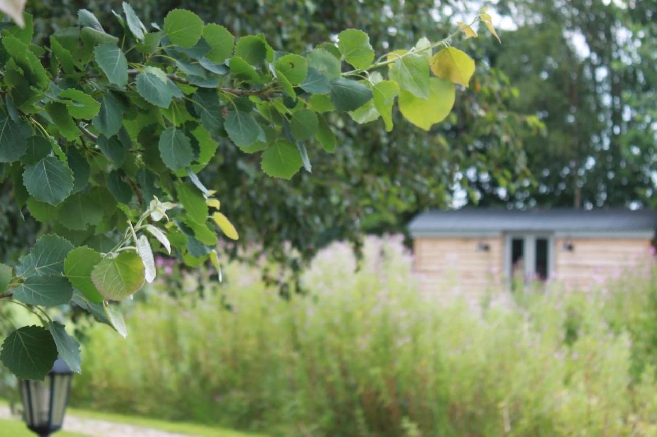 Luxury Shepherds Hut - The Sweet Pea By The Lake York Luaran gambar